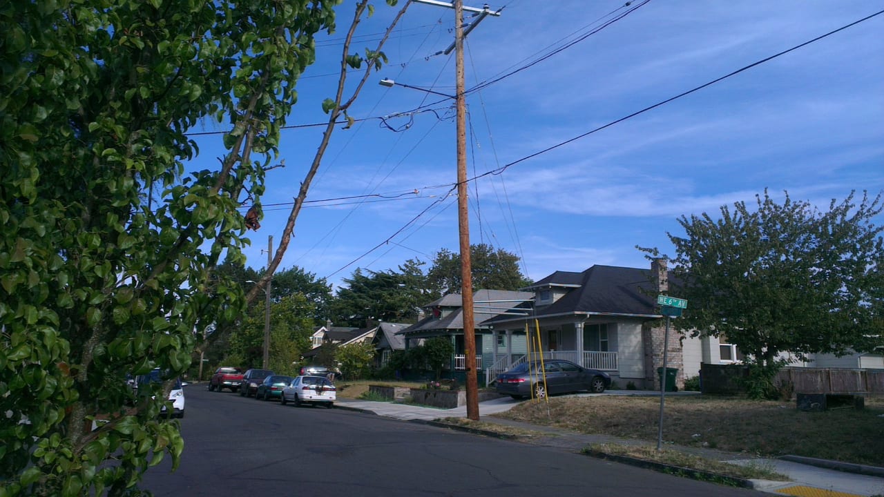 Houses and mature trees along a residential street in Portland, Oregon